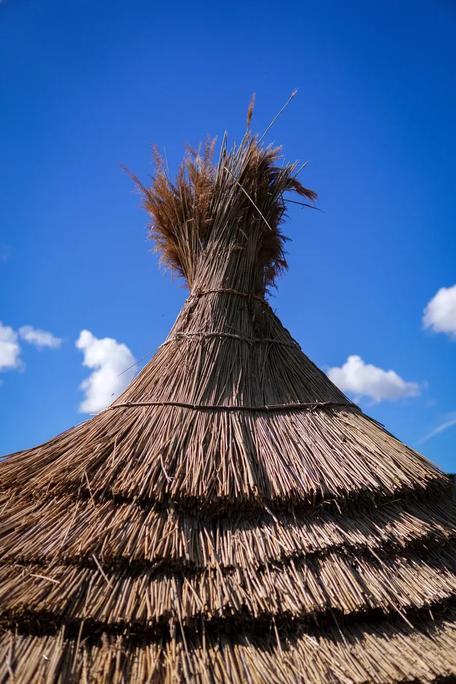 Roof structure and roofing