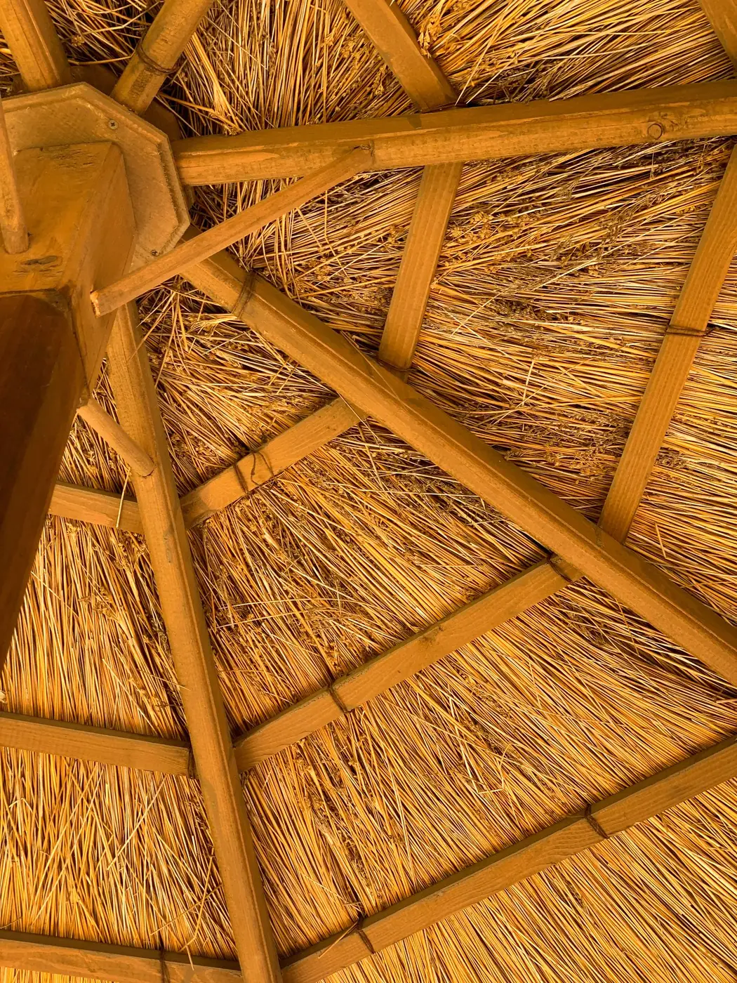 Roof structure and roofing