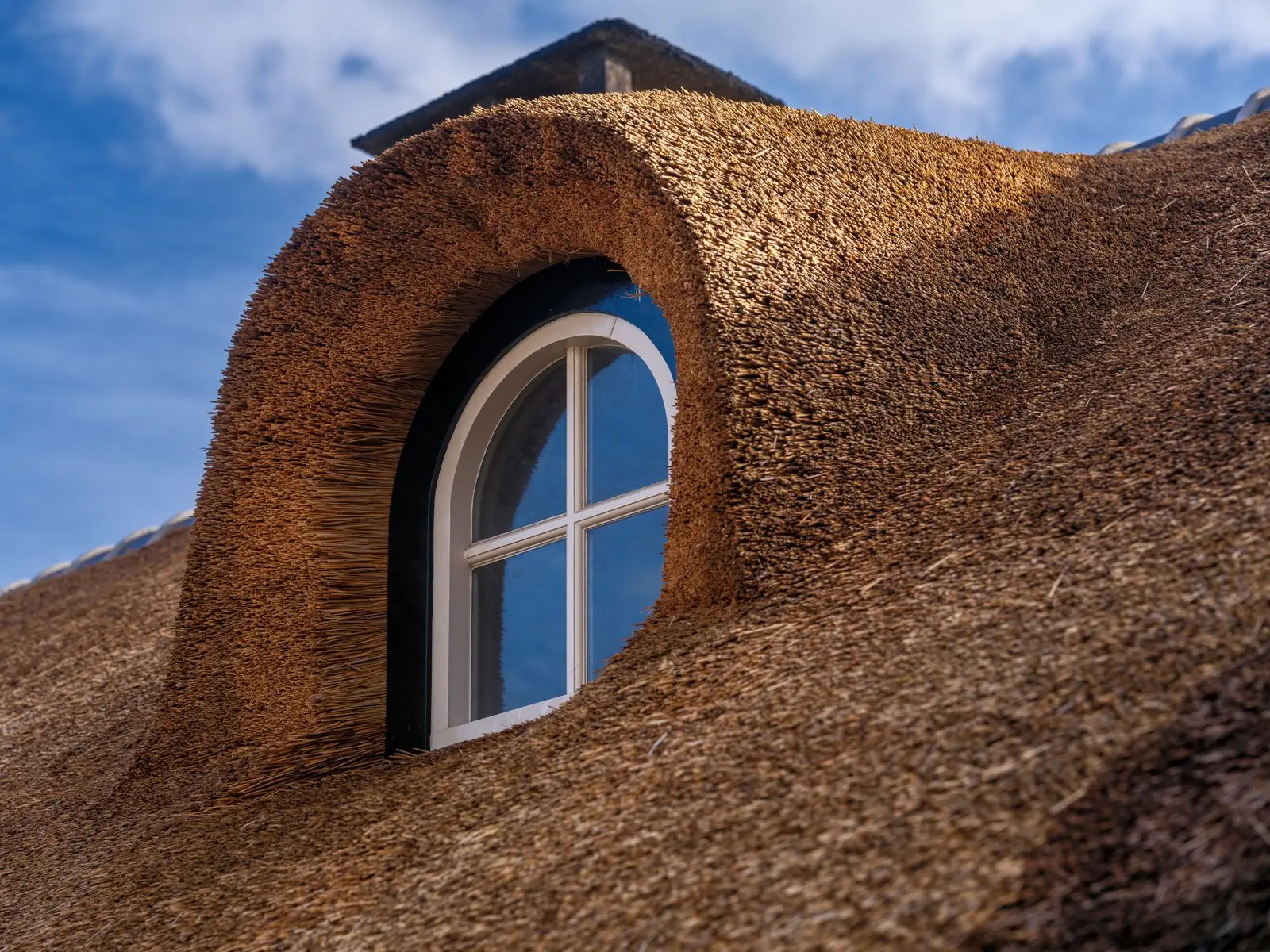 Roof structure and roofing