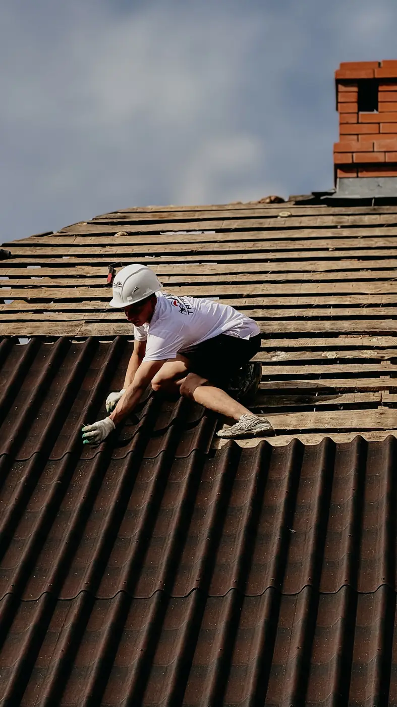 Roof structure and roofing