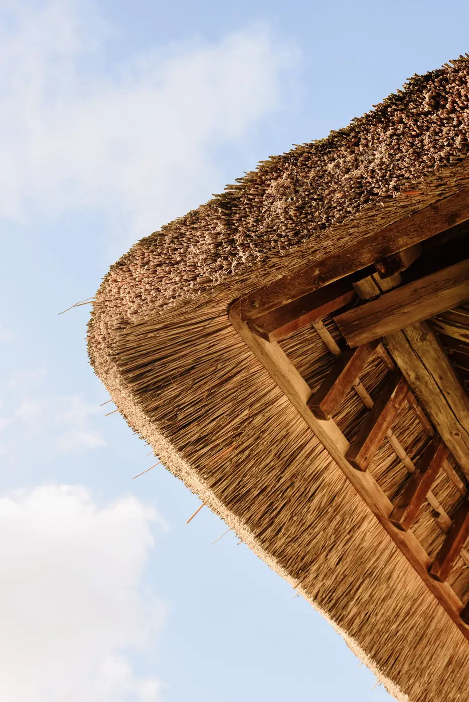 Roof structure and roofing