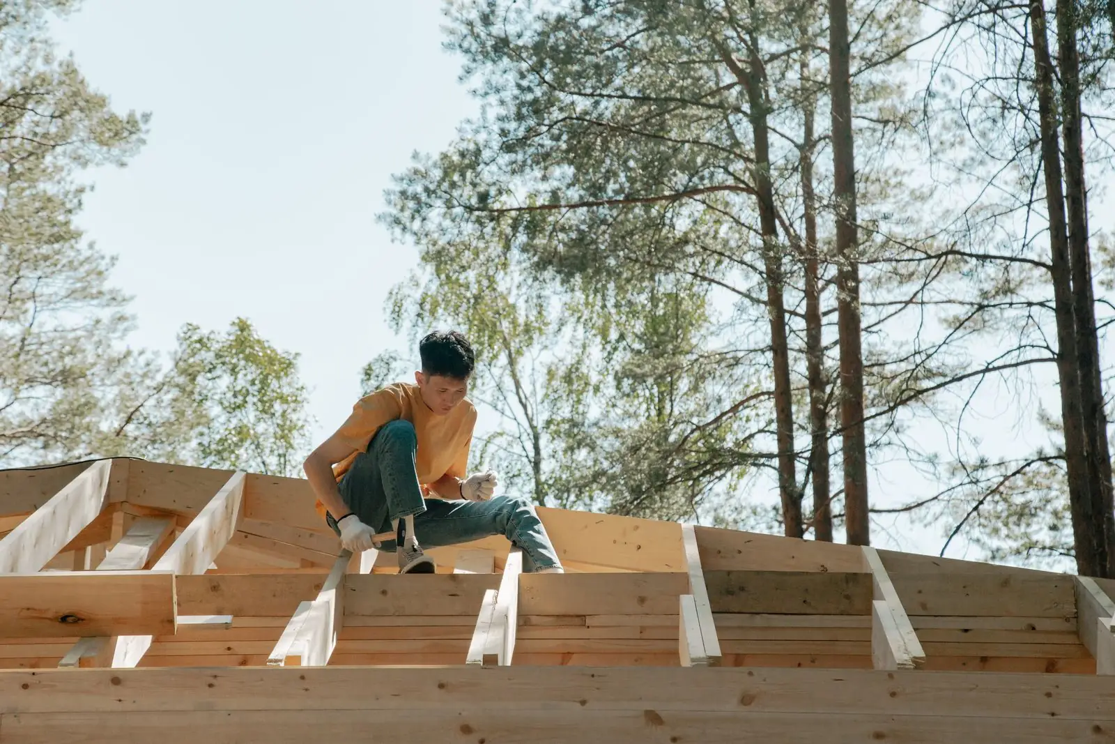 Roof structure and roofing