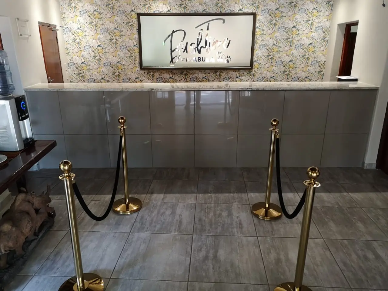 Upgraded reception desk at BushTime at Mabula