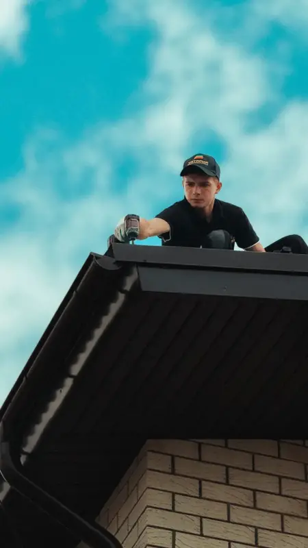 Roof structure and roofing